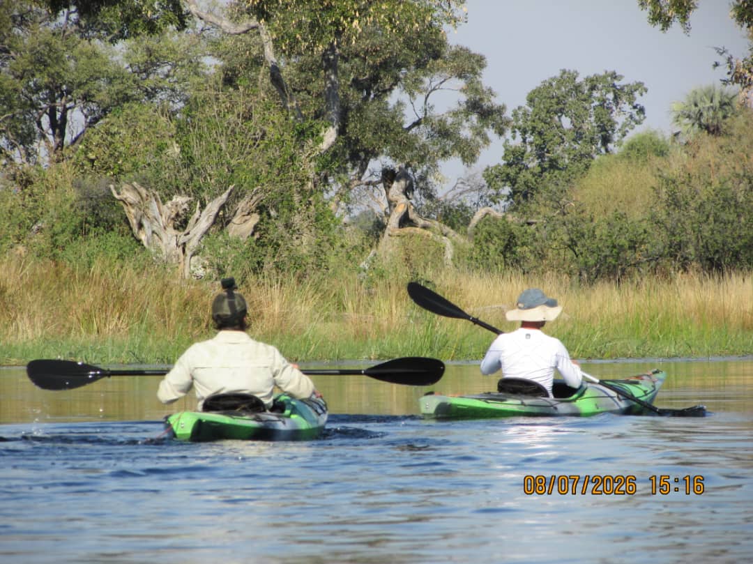 Kayaking Okavango